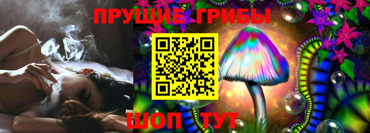 Галлюциногенные грибы прущие грибы  наркотики  Дмитров  Псилоцибиновые грибы Cubensis  Вход с VPN 