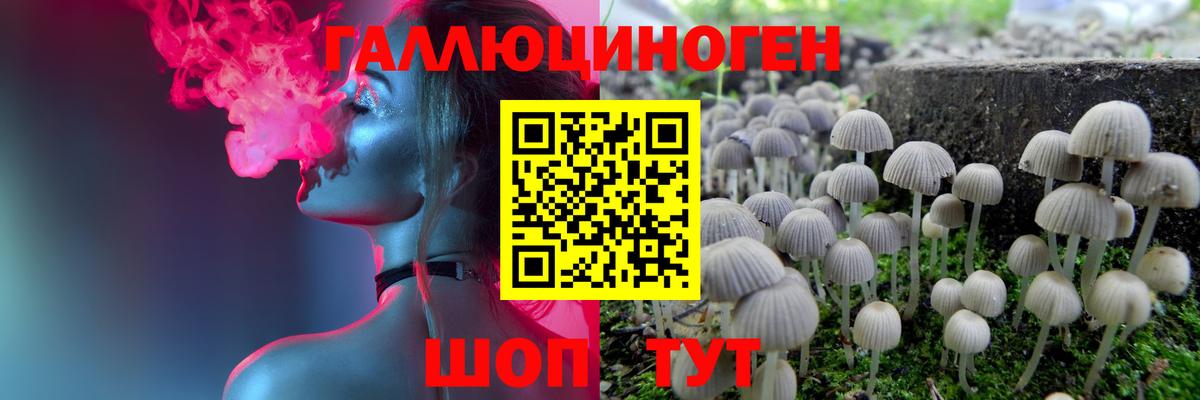 Псилоцибиновые грибы Cubensis Дмитров